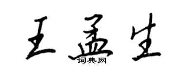 王正良王孟生行书个性签名怎么写