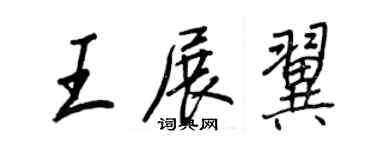 王正良王展翼行书个性签名怎么写