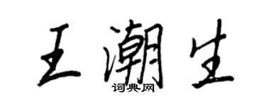 王正良王潮生行书个性签名怎么写