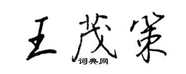 王正良王茂策行书个性签名怎么写