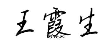 王正良王霞生行书个性签名怎么写