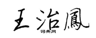 王正良王治凤行书个性签名怎么写