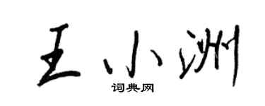 王正良王小洲行书个性签名怎么写