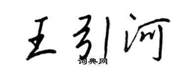 王正良王引河行书个性签名怎么写