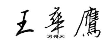 王正良王华鹰行书个性签名怎么写