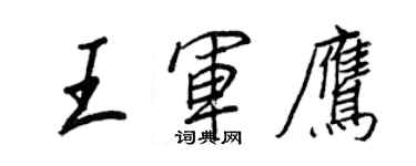 王正良王军鹰行书个性签名怎么写