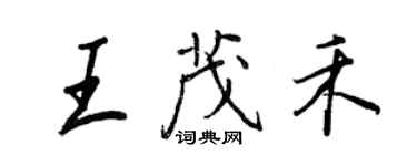 王正良王茂禾行书个性签名怎么写