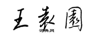 王正良王袁园行书个性签名怎么写
