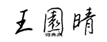 王正良王园晴行书个性签名怎么写