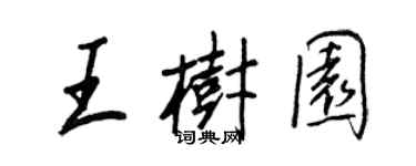 王正良王树园行书个性签名怎么写