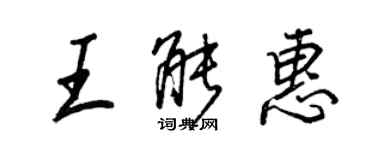 王正良王能惠行书个性签名怎么写