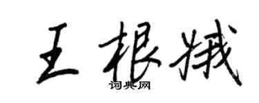 王正良王根娥行书个性签名怎么写