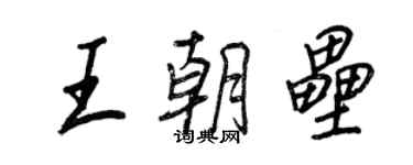 王正良王朝垒行书个性签名怎么写