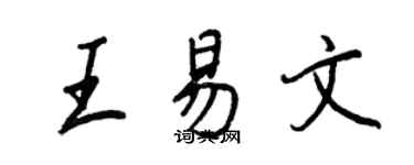 王正良王易文行书个性签名怎么写