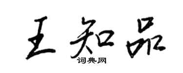 王正良王知品行书个性签名怎么写