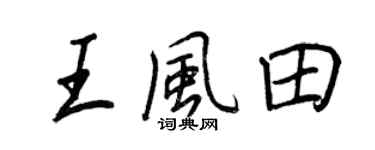 王正良王风田行书个性签名怎么写