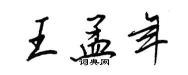 王正良王孟年行书个性签名怎么写