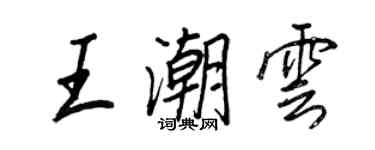 王正良王潮云行书个性签名怎么写