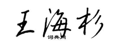 王正良王海杉行书个性签名怎么写