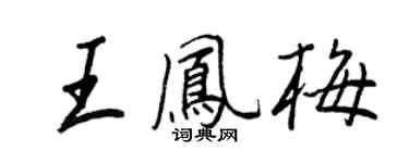 王正良王凤梅行书个性签名怎么写