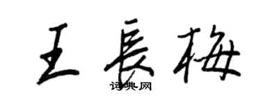 王正良王长梅行书个性签名怎么写