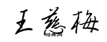 王正良王慈梅行书个性签名怎么写
