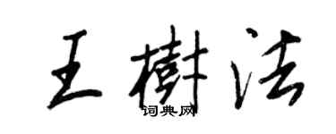 王正良王树法行书个性签名怎么写