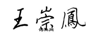 王正良王崇凤行书个性签名怎么写