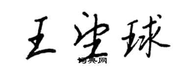 王正良王望球行书个性签名怎么写