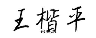 王正良王楷平行书个性签名怎么写