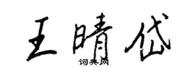 王正良王晴岱行书个性签名怎么写