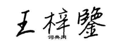 王正良王梓鉴行书个性签名怎么写