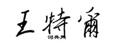 王正良王特尔行书个性签名怎么写