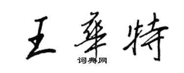 王正良王华特行书个性签名怎么写