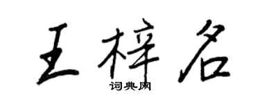 王正良王梓名行书个性签名怎么写