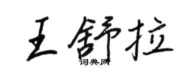王正良王舒拉行书个性签名怎么写
