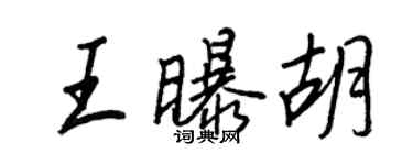 王正良王曝胡行书个性签名怎么写
