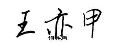 王正良王亦甲行书个性签名怎么写