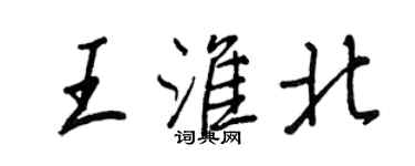 王正良王淮北行书个性签名怎么写