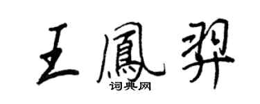 王正良王凤羿行书个性签名怎么写