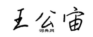 王正良王公宙行书个性签名怎么写