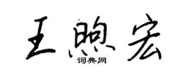 王正良王煦宏行书个性签名怎么写