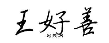 王正良王好善行书个性签名怎么写