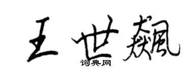 王正良王世飙行书个性签名怎么写