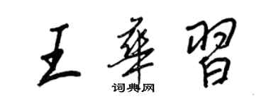 王正良王华习行书个性签名怎么写