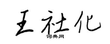 王正良王社化行书个性签名怎么写