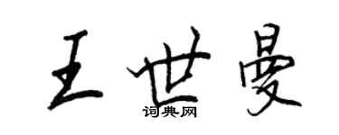 王正良王世曼行书个性签名怎么写