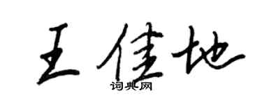 王正良王佳地行书个性签名怎么写