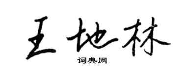 王正良王地林行书个性签名怎么写