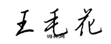 王正良王毛花行书个性签名怎么写